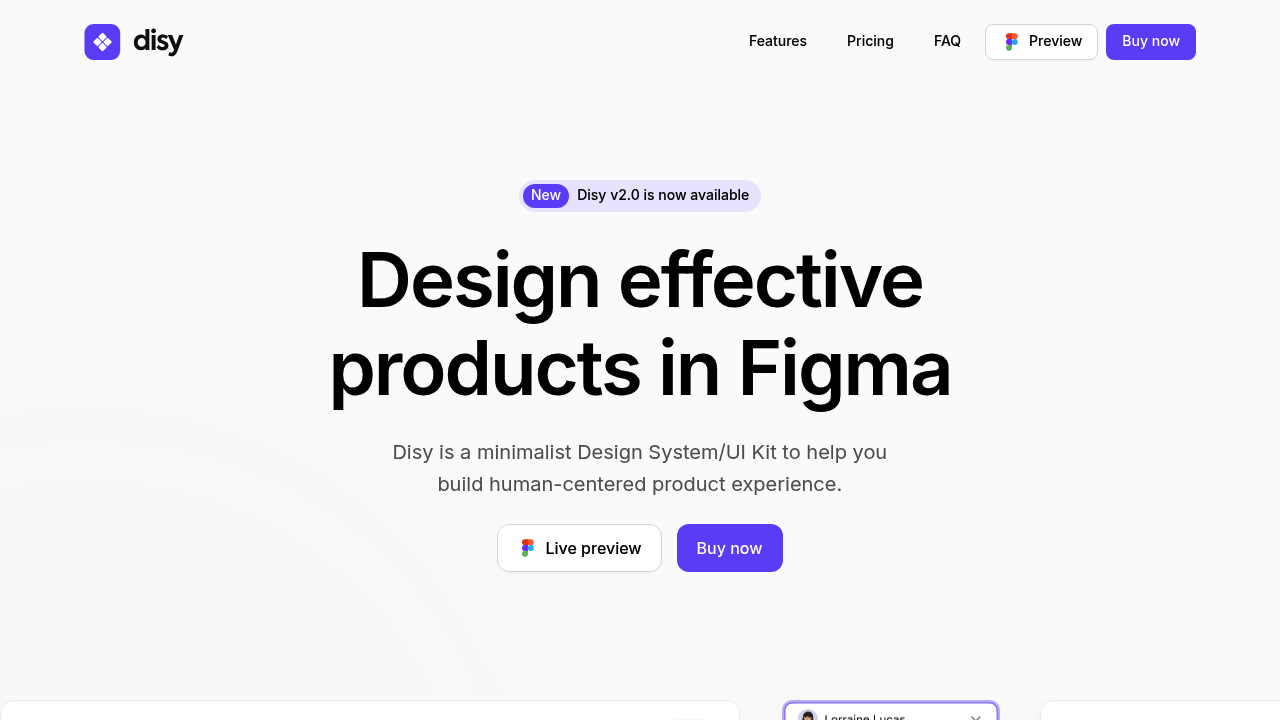 Screenshot of Disy website